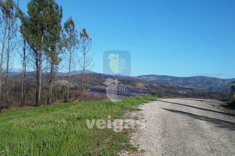 Terra a Arganil, Coimbra, Arganil - € 50.000 | Ref: ALVER-202160 - foto 12