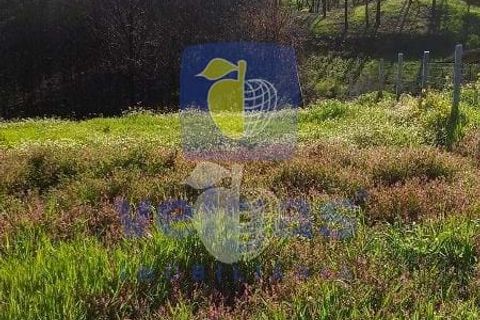Terra a Arganil, Coimbra, Arganil - € 50.000 | Ref: ALVER-202160 - foto 13