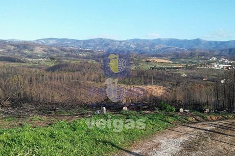 Terra a Arganil, Coimbra, Arganil - € 50.000 | Ref: ALVER-202160 - foto 14