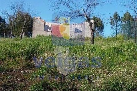 Terra a Arganil, Coimbra, Arganil - € 50.000 | Ref: ALVER-202160 - foto 16