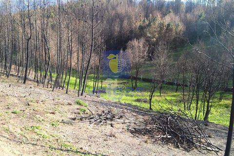 Terra a Arganil, Coimbra, Arganil - € 50.000 | Ref: ALVER-202160 - foto 19