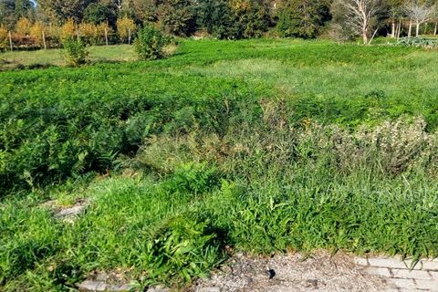 Helårsgrund i Amares, Braga, Amares - € 45.000 | Ref: 211818 - foto 2