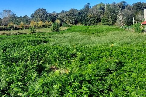 Helårsgrund i Amares, Braga, Amares - € 45.000 | Ref: 211818 - foto 3
