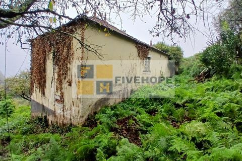 Villa a Arrifana, Aveiro, Arrifana - € 55.000 | Ref: HAB_159 - foto 3