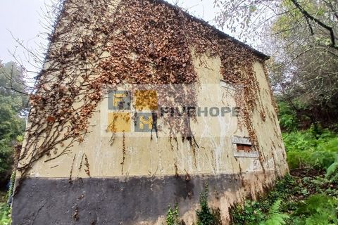 Villa a Arrifana, Aveiro, Arrifana - € 55.000 | Ref: HAB_159 - foto 4