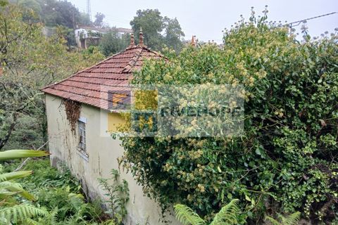 Villa a Arrifana, Aveiro, Arrifana - € 55.000 | Ref: HAB_159 - foto 5
