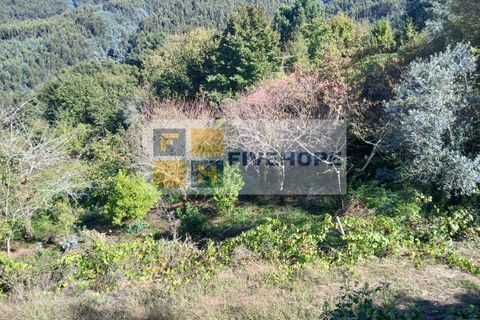 Villa a Arrifana, Aveiro, Arrifana - € 55.000 | Ref: HAB_159 - foto 8
