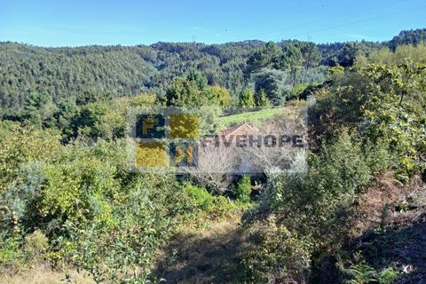 Villa a Arrifana, Aveiro, Arrifana - € 55.000 | Ref: HAB_159 - foto 9