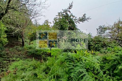 Villa a Arrifana, Aveiro, Arrifana - € 55.000 | Ref: HAB_159 - foto 10