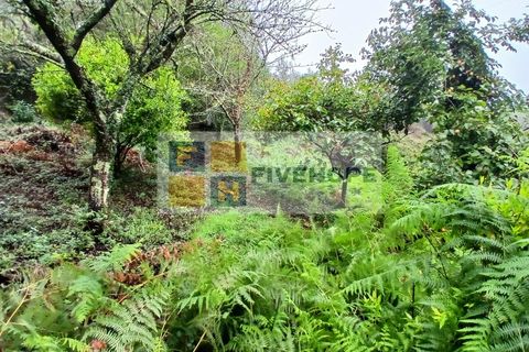 Villa a Arrifana, Aveiro, Arrifana - € 55.000 | Ref: HAB_159 - foto 11