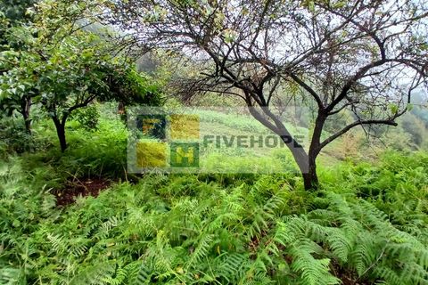 Villa a Arrifana, Aveiro, Arrifana - € 55.000 | Ref: HAB_159 - foto 12