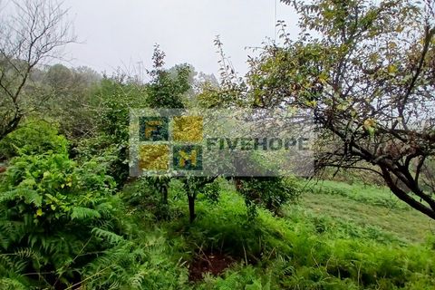 Villa a Arrifana, Aveiro, Arrifana - € 55.000 | Ref: HAB_159 - foto 13