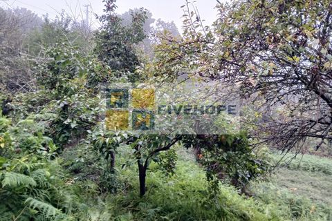 Villa a Arrifana, Aveiro, Arrifana - € 55.000 | Ref: HAB_159 - foto 14
