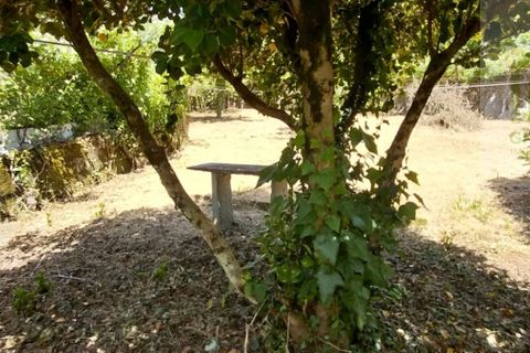 Villa i Arganil, Coimbra, Arganil - € 140 000 | Ref: 619 - foto 34