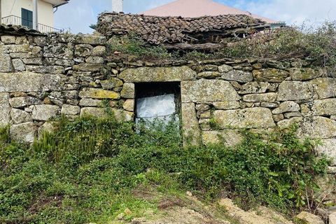 Byhus i Vila Real, Vila Real, Vila Real - € 19.900 | Ref: 129565 - foto 28