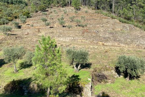 Landejendom i Fundao, Castelo Branco, Fundao - € 19.500 | Ref: 255240210 - foto 11