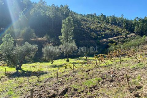 Landejendom i Fundao, Castelo Branco, Fundao - € 19.500 | Ref: 255240210 - foto 2