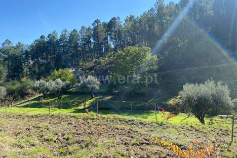 Landejendom i Fundao, Castelo Branco, Fundao - € 19.500 | Ref: 255240210 - foto 1