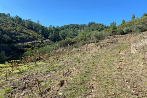 Landejendom i Fundao, Castelo Branco, Fundao - € 19.500 | Ref: 255240210 - foto 3