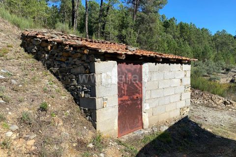 Landejendom i Fundao, Castelo Branco, Fundao - € 19.500 | Ref: 255240210 - foto 4