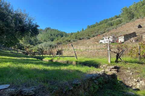 Landejendom i Fundao, Castelo Branco, Fundao - € 19.500 | Ref: 255240210 - foto 6