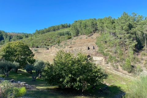 Landejendom i Fundao, Castelo Branco, Fundao - € 19.500 | Ref: 255240210 - foto 7