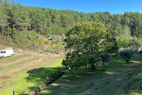 Landejendom i Fundao, Castelo Branco, Fundao - € 19.500 | Ref: 255240210 - foto 9