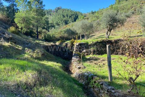 Landejendom i Fundao, Castelo Branco, Fundao - € 19.500 | Ref: 255240210 - foto 10