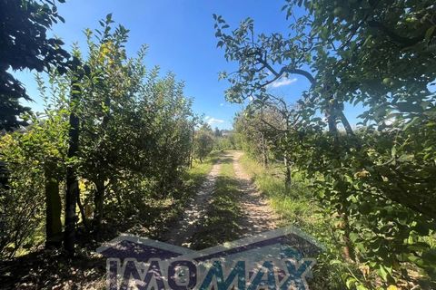 Farm i Penafiel, Porto, Penafiel - € 420.000 | Ref: 2024-067 - foto 3