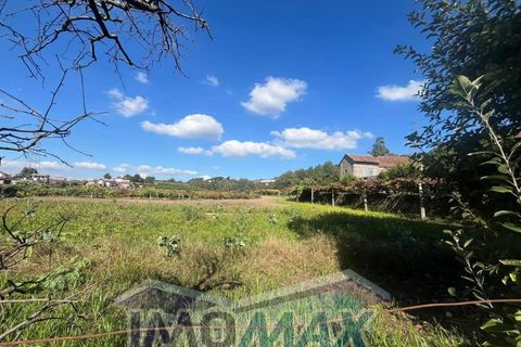 Farm i Penafiel, Porto, Penafiel - € 420.000 | Ref: 2024-067 - foto 4