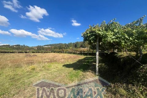 Farm i Penafiel, Porto, Penafiel - € 420.000 | Ref: 2024-067 - foto 6