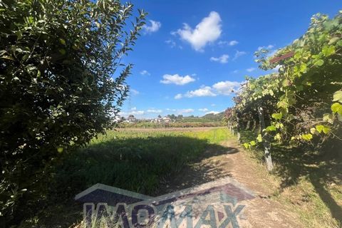 Farm i Penafiel, Porto, Penafiel - € 420.000 | Ref: 2024-067 - foto 7