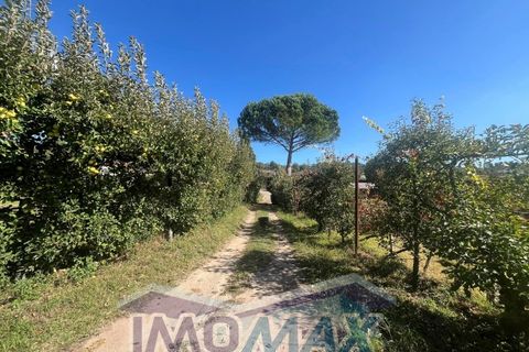 Farm i Penafiel, Porto, Penafiel - € 420.000 | Ref: 2024-067 - foto 8