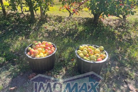 Farm i Penafiel, Porto, Penafiel - € 420.000 | Ref: 2024-067 - foto 10