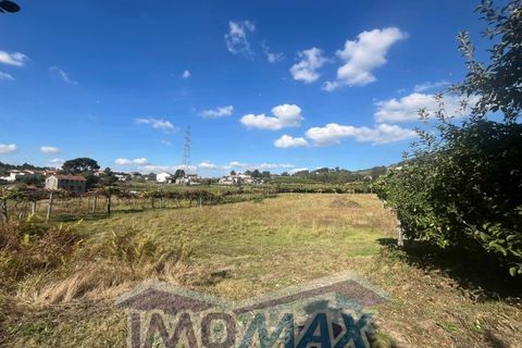 Farm i Penafiel, Porto, Penafiel - € 420.000 | Ref: 2024-067 - foto 13