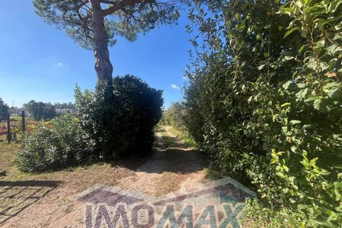 Farm i Penafiel, Porto, Penafiel - € 420.000 | Ref: 2024-067 - foto 14