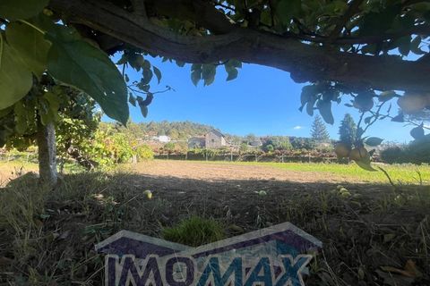 Farm i Penafiel, Porto, Penafiel - € 420.000 | Ref: 2024-067 - foto 17