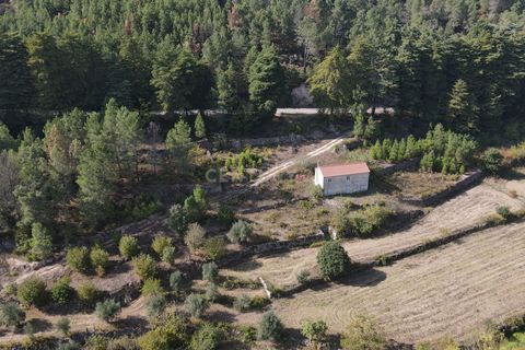 Farm hus i Torre de Moncorvo, Braganca, Torre de Moncorvo - € 49.000 | Ref: C0203-02379 - foto 2