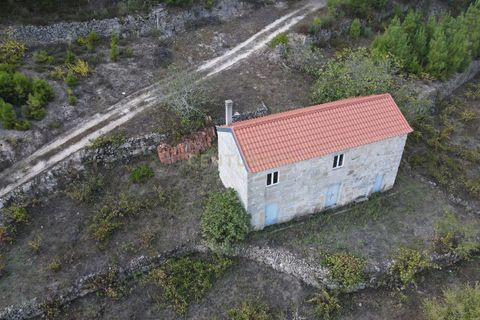 Farm hus i Torre de Moncorvo, Braganca, Torre de Moncorvo - € 49.000 | Ref: C0203-02379 - foto 6