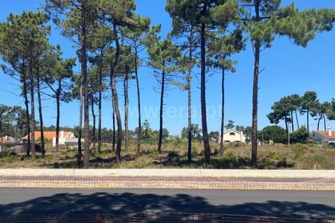 Helårsgrund i Almada, Setubal, Almada - € 1.100.000 | Ref: 035230156 - foto 8