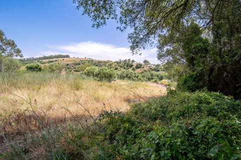 Helårsgrund i Alcabideche, Lisbon, Alcabideche - € 350.000 | Ref: TAPT01-813_CKH - foto 3