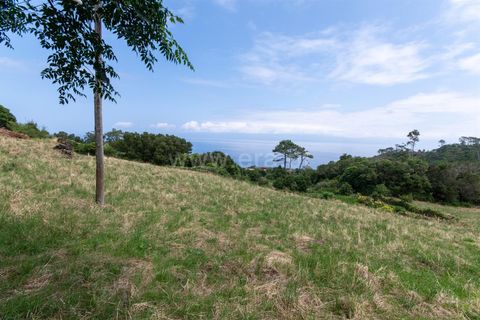 Villa i Sao Roque do Pico, Pico, Sao Roque do Pico - € 360.000 | Ref: 374240230 - foto 15