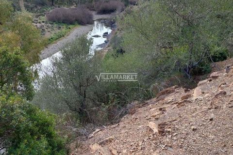 Terra a Ourique, Beja, Ourique - € 280.000 | Ref: JF-372EE - foto 2