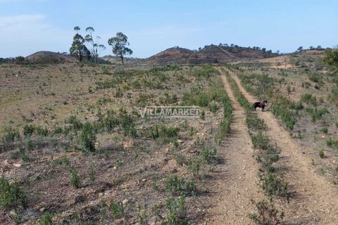 Terra a Ourique, Beja, Ourique - € 280.000 | Ref: JF-372EE - foto 3