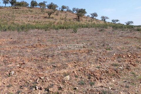 Terra a Ourique, Beja, Ourique - € 280.000 | Ref: JF-372EE - foto 5