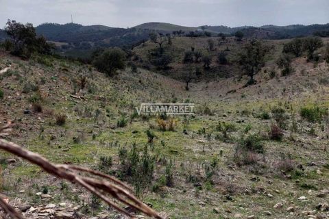 Terra a Ourique, Beja, Ourique - € 280.000 | Ref: JF-372EE - foto 6