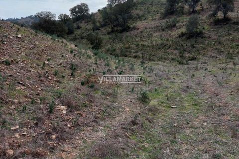 Terra a Ourique, Beja, Ourique - € 280.000 | Ref: JF-372EE - foto 7