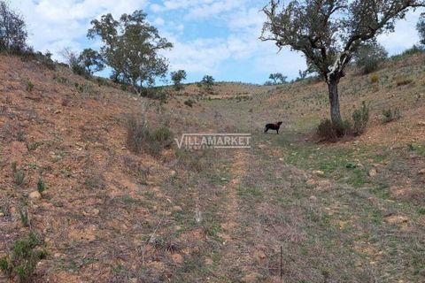 Terra a Ourique, Beja, Ourique - € 280.000 | Ref: JF-372EE - foto 8
