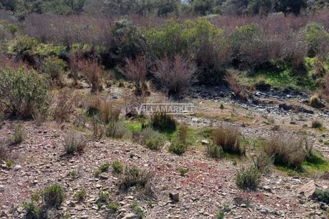 Terra a Ourique, Beja, Ourique - € 280.000 | Ref: JF-372EE - foto 9