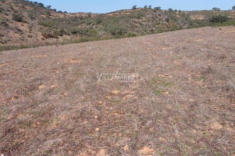 Terra a Ourique, Beja, Ourique - € 280.000 | Ref: JF-372EE - foto 10